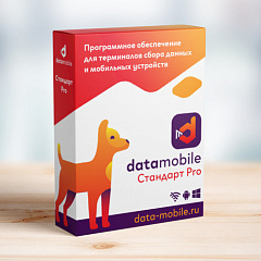 ПО DataMobile, версия Стандарт Pro в Магнитогорске